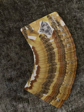 Load image into Gallery viewer, Halcyon Life Oracle Cards