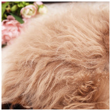 Load image into Gallery viewer, Short Lamb Fur Collar Leopard Jacket