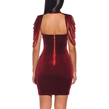 Load image into Gallery viewer, Skylar Velvet Mini Dress
