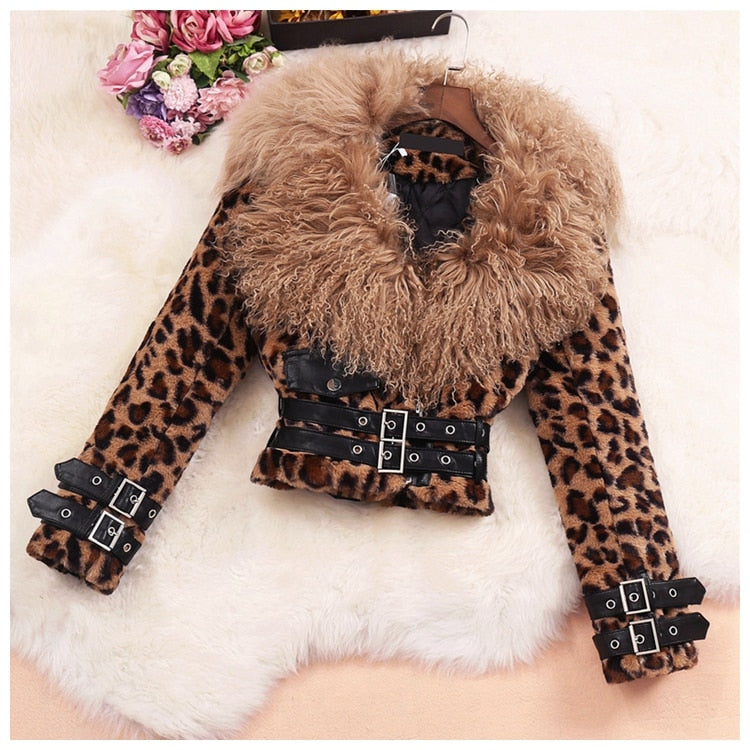 Short Lamb Fur Collar Leopard Jacket